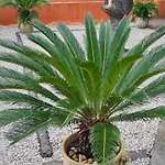 Nonna Cristina Villa Pompei