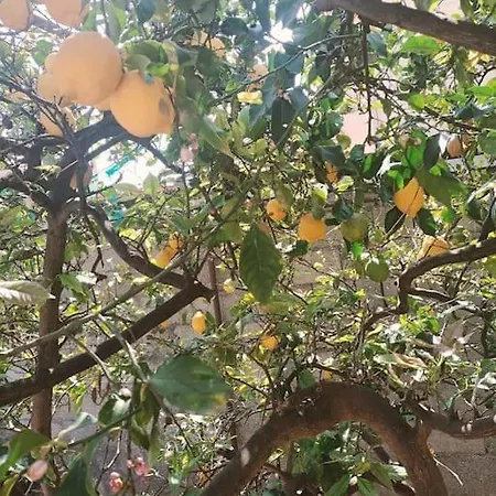 Nonna Cristina Pompei