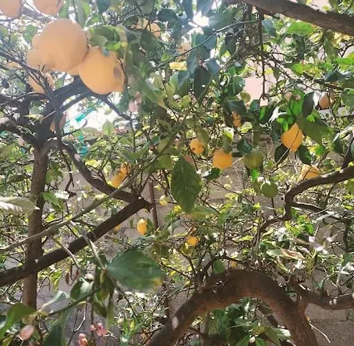 Nonna Cristina Pompeji